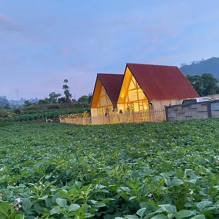 Martos Villa Dieng Diyeng Eksteriør billede